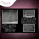 Disney Classics Peter Pan Straight on Till Morning1.webp