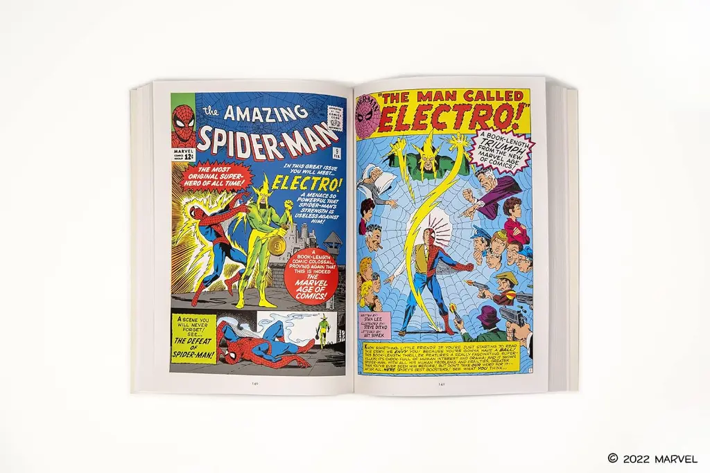 The Amazing Spider-Man1.webp