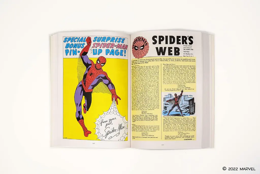The Amazing Spider-Man2.webp