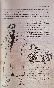 Albhutha vanaranmaar2.webp
