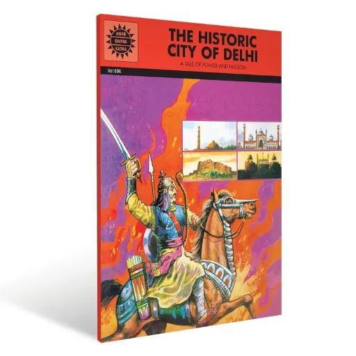 The Historic City Of Delhi